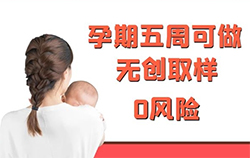 浙江刚怀孕需要怎么做胎儿亲子鉴定，浙江无创孕期亲子鉴定如何收费